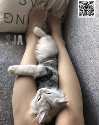 海洋之恋