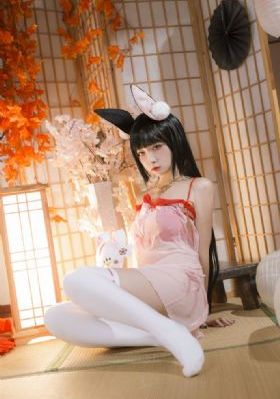 山村狐妻