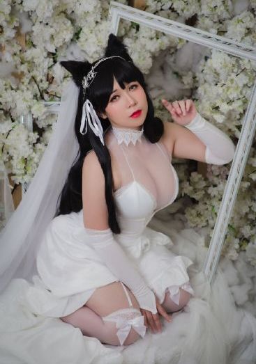 淫之方程式